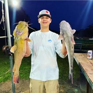 Meet your Posher, Dylan